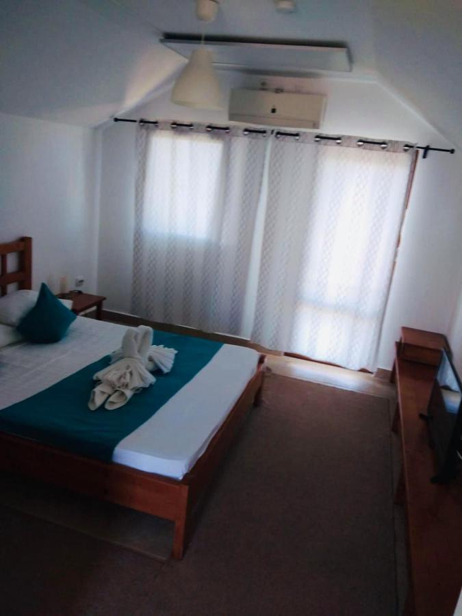 מלון Lunca  Casa Pescarilor מראה חיצוני תמונה